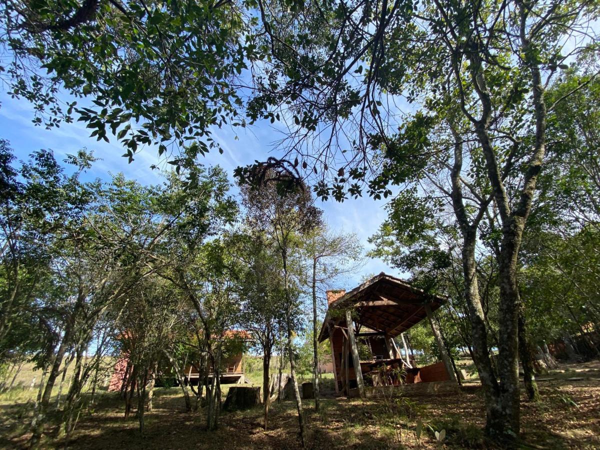 Aguaraguazu